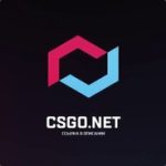 CSGO.NET Case Opening Site Review